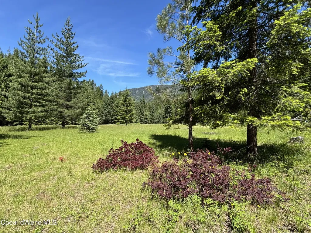 2216 Mosquito Creek Road Clark Fork ID 83811
