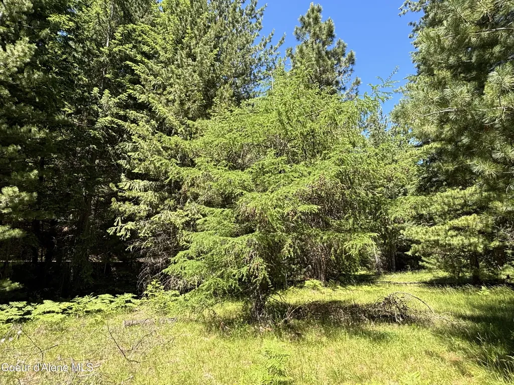 2216 Mosquito Creek Road Clark Fork ID 83811