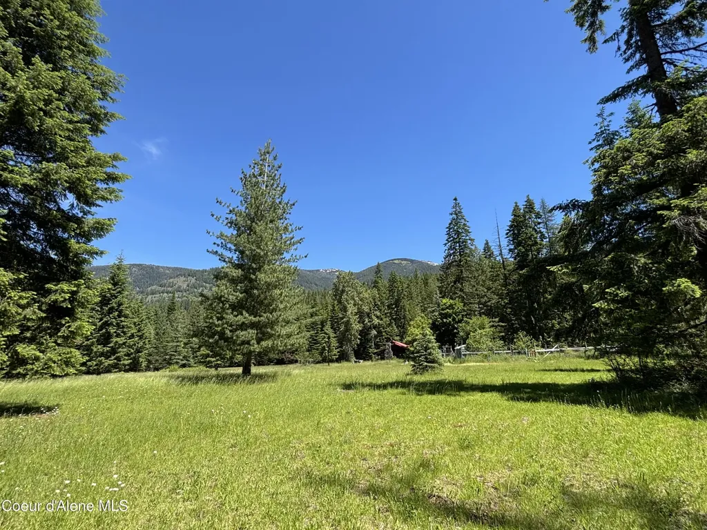 2216 Mosquito Creek Road Clark Fork ID 83811