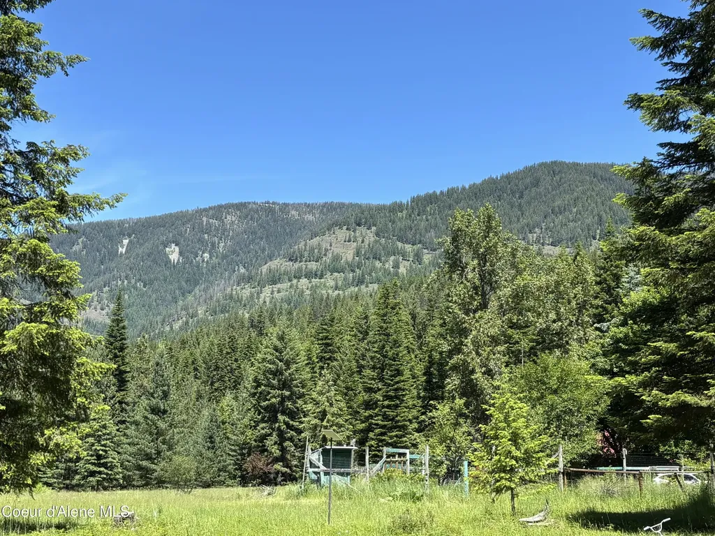 2216 Mosquito Creek Road Clark Fork ID 83811