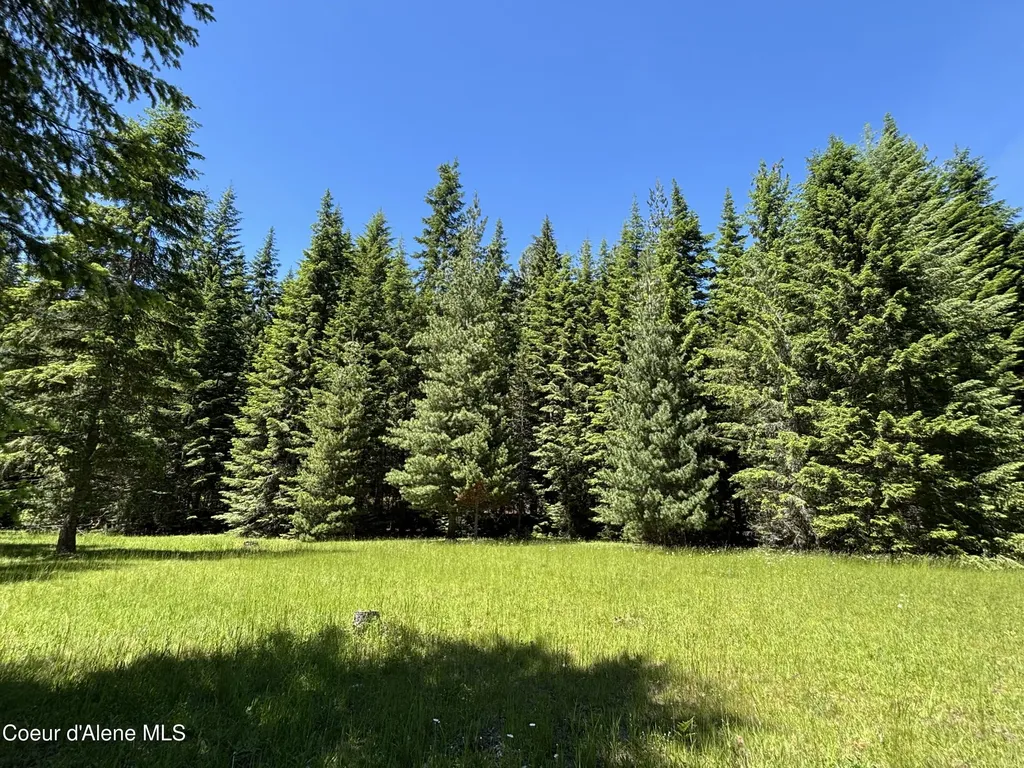 2216 Mosquito Creek Road Clark Fork ID 83811