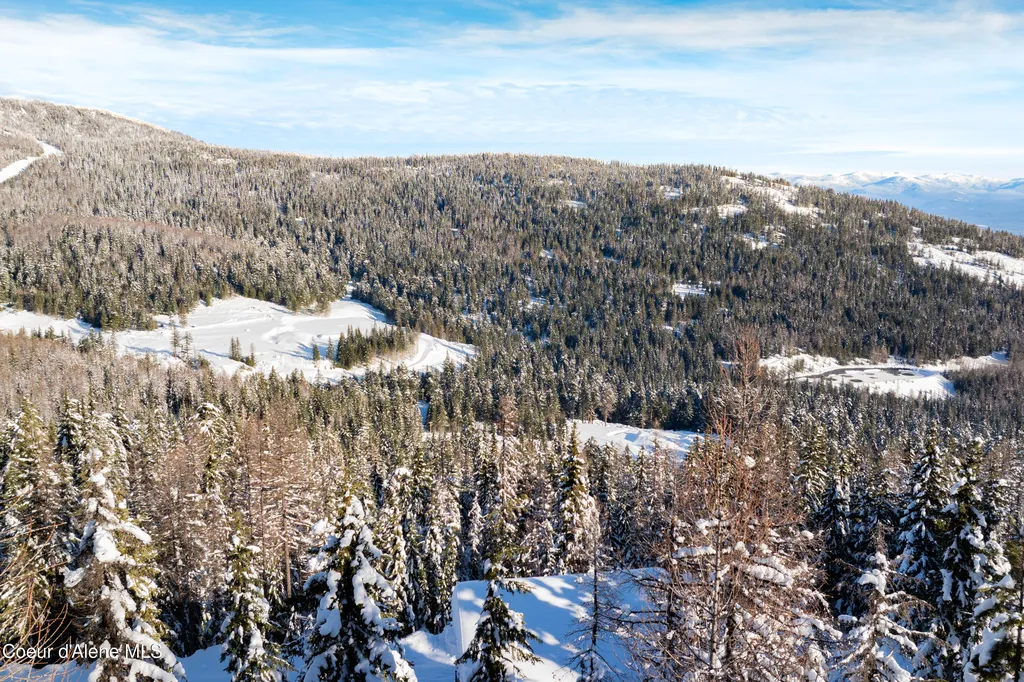 375 Blizzard Drive Sandpoint ID 83864