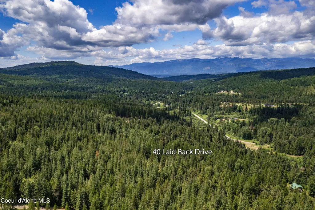 40 Laid Back Drive Sandpoint ID 83864