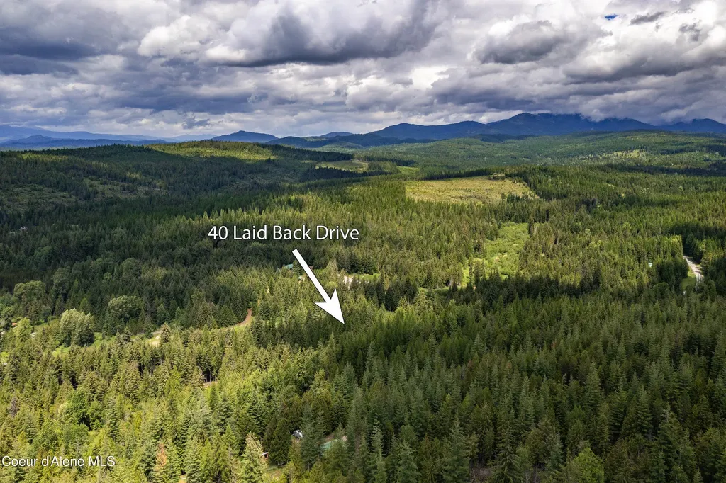 40 Laid Back Drive Sandpoint ID 83864
