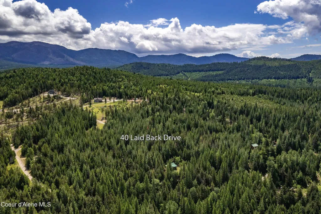 40 Laid Back Drive Sandpoint ID 83864