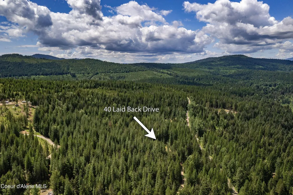 40 Laid Back Drive Sandpoint ID 83864