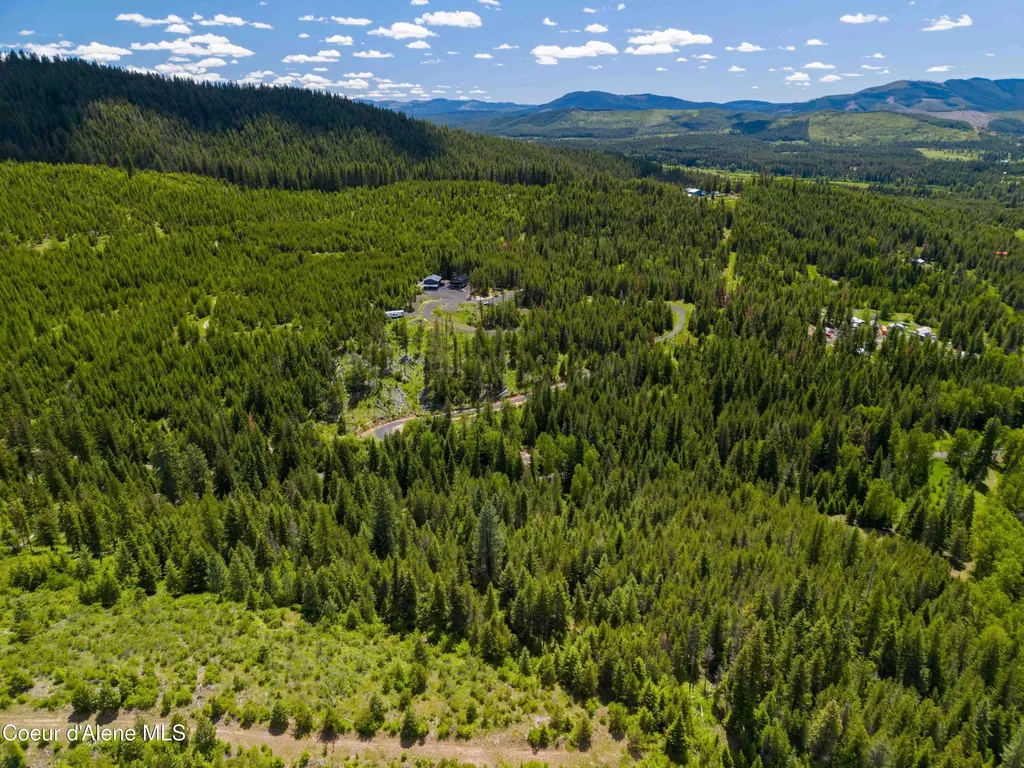 1314 Finn Creek Road Fernwood ID 83830