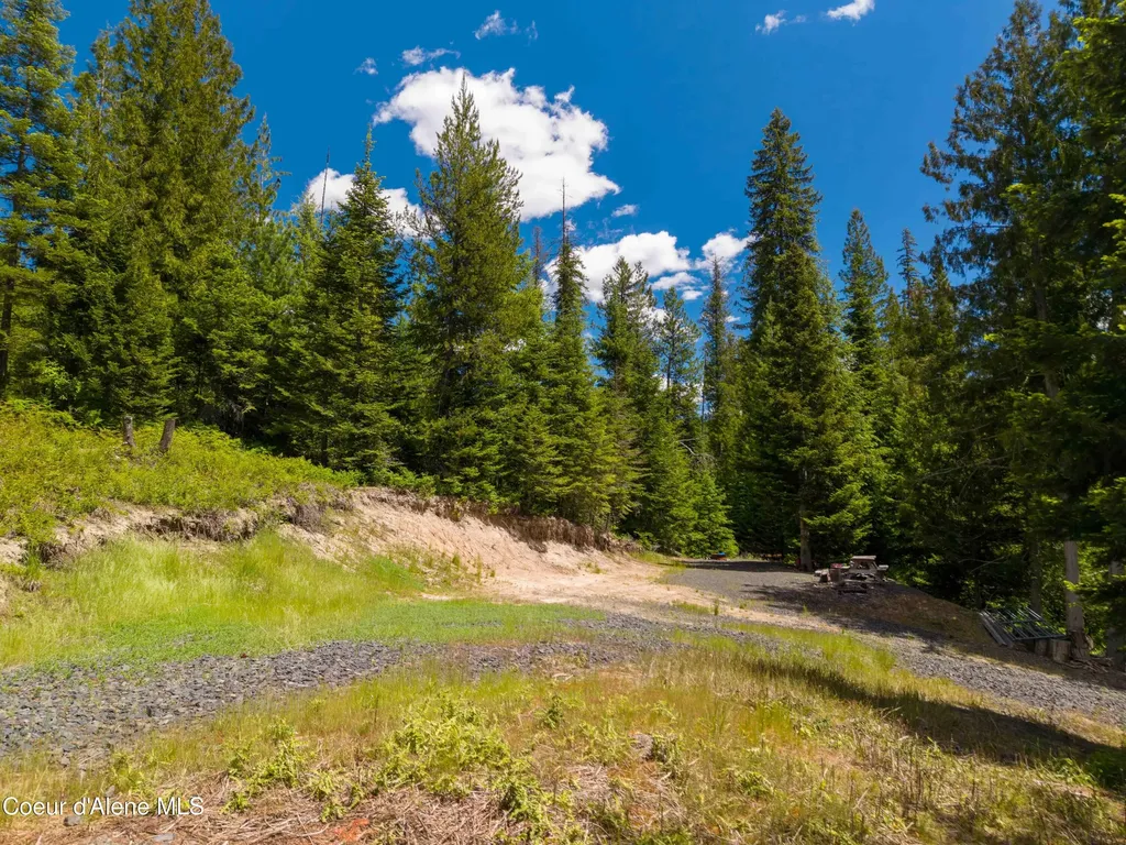 1314 Finn Creek Road Fernwood ID 83830