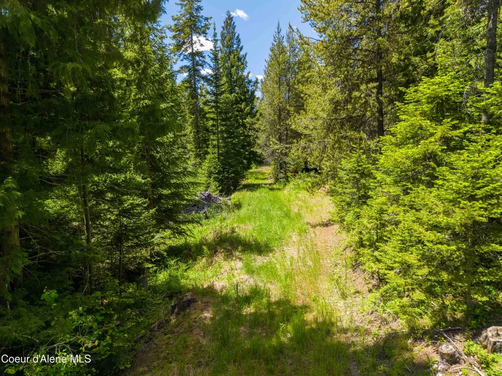 1314 Finn Creek Road Fernwood ID 83830