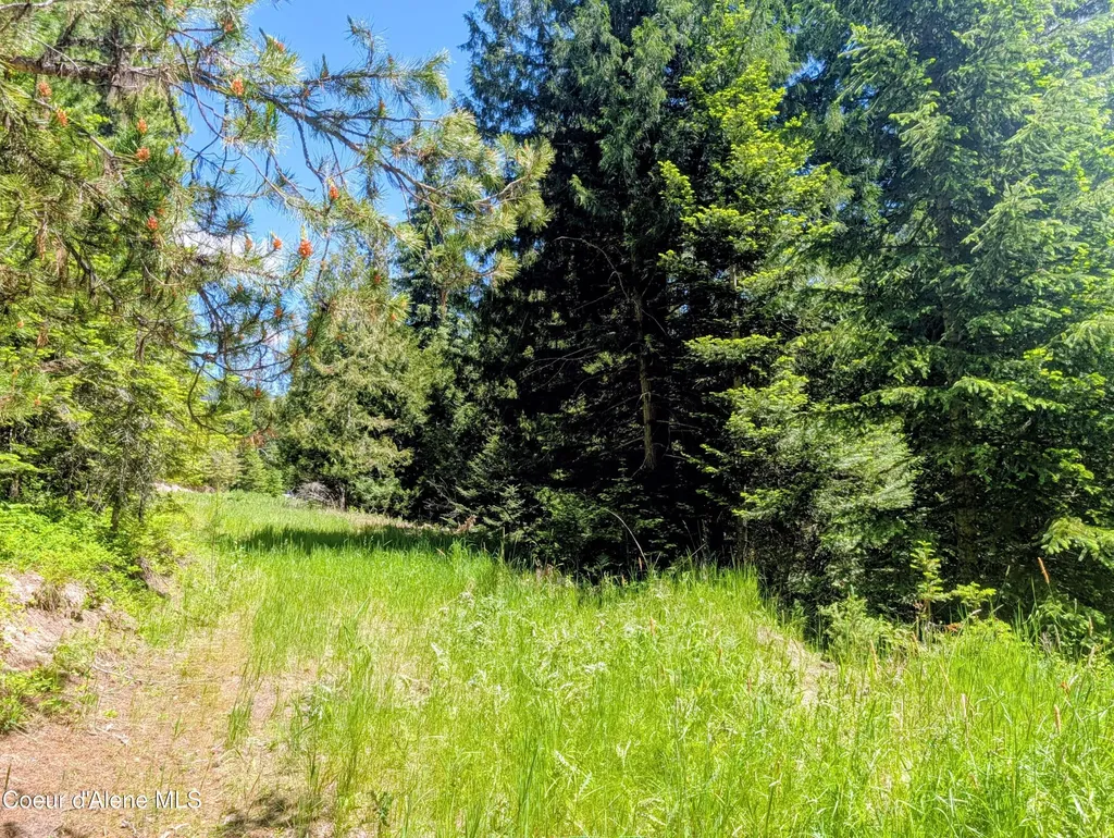 1314 Finn Creek Road Fernwood ID 83830