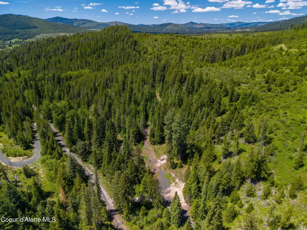 1314 Finn Creek Road Fernwood ID 83830