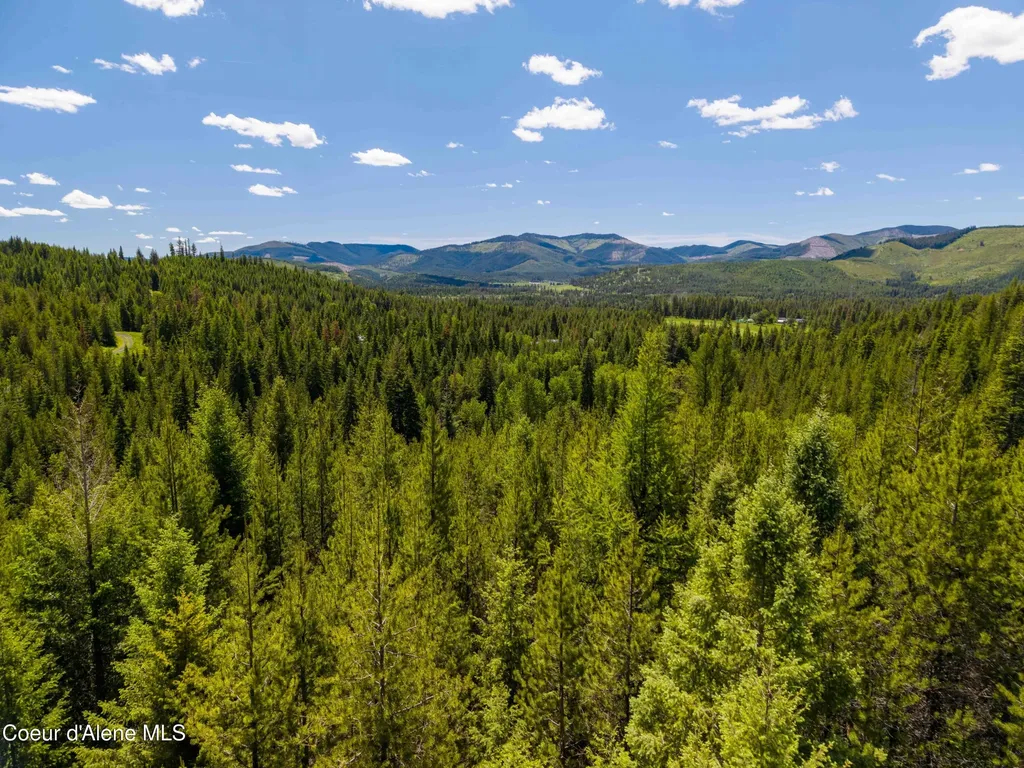 1314 Finn Creek Road Fernwood ID 83830