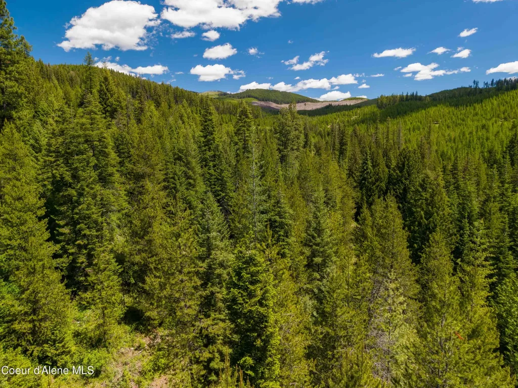 1314 Finn Creek Road Fernwood ID 83830