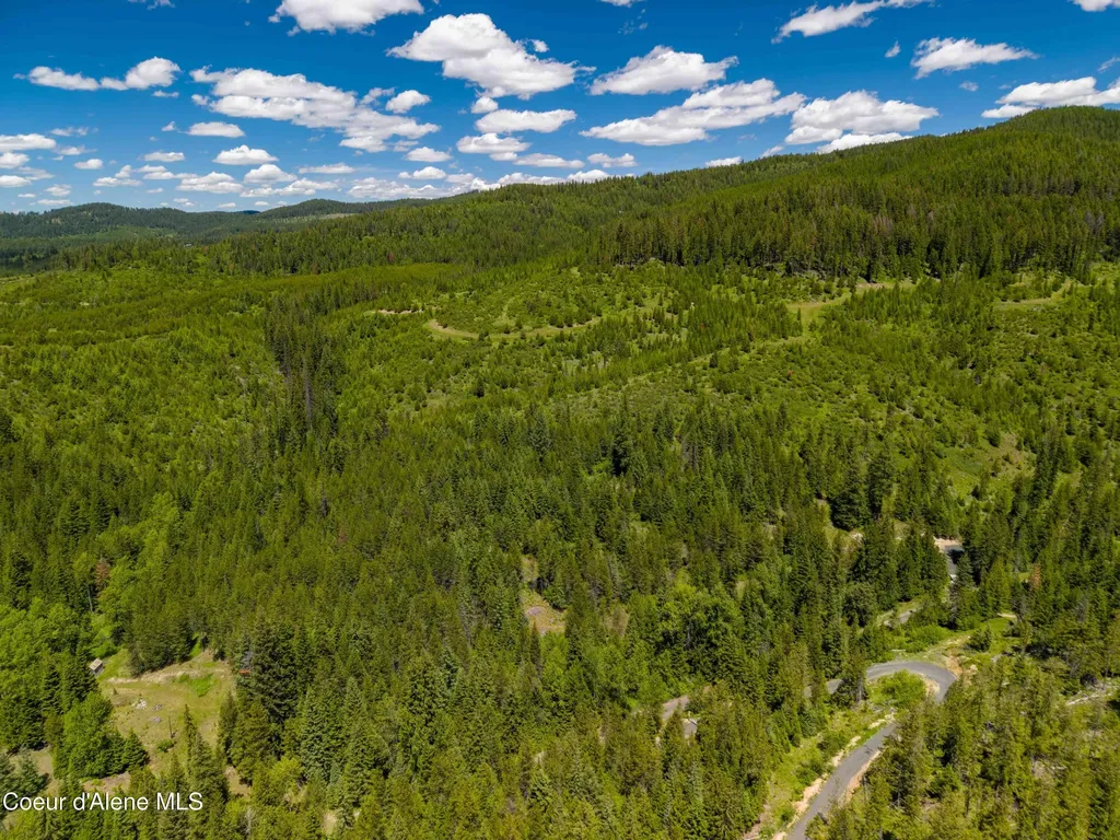 1314 Finn Creek Road Fernwood ID 83830