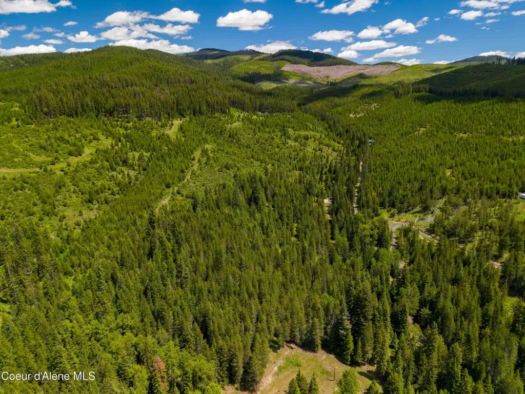 1314 Finn Creek Road Fernwood ID 83830
