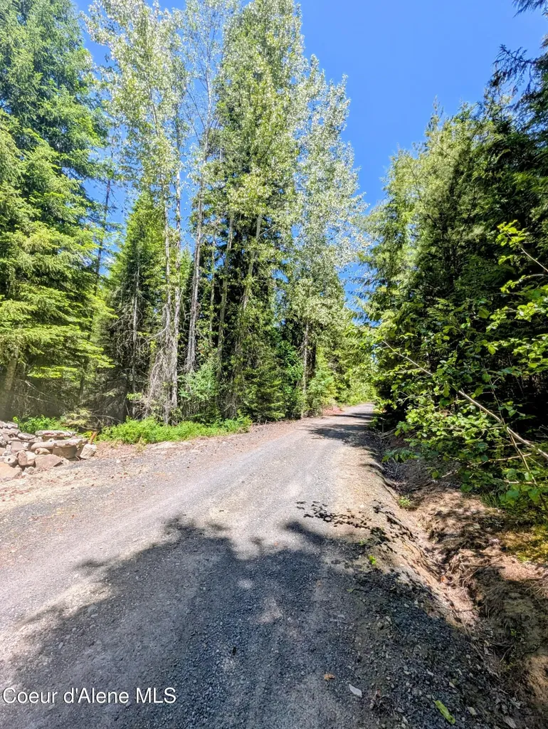 1314 Finn Creek Road Fernwood ID 83830