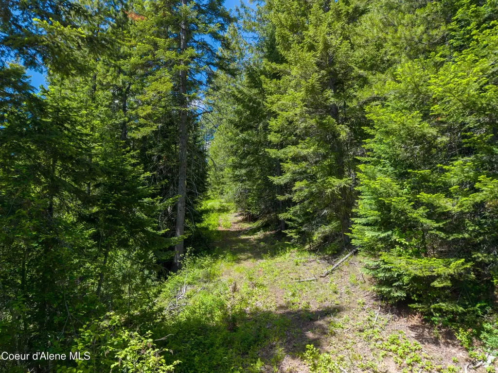 1314 Finn Creek Road Fernwood ID 83830