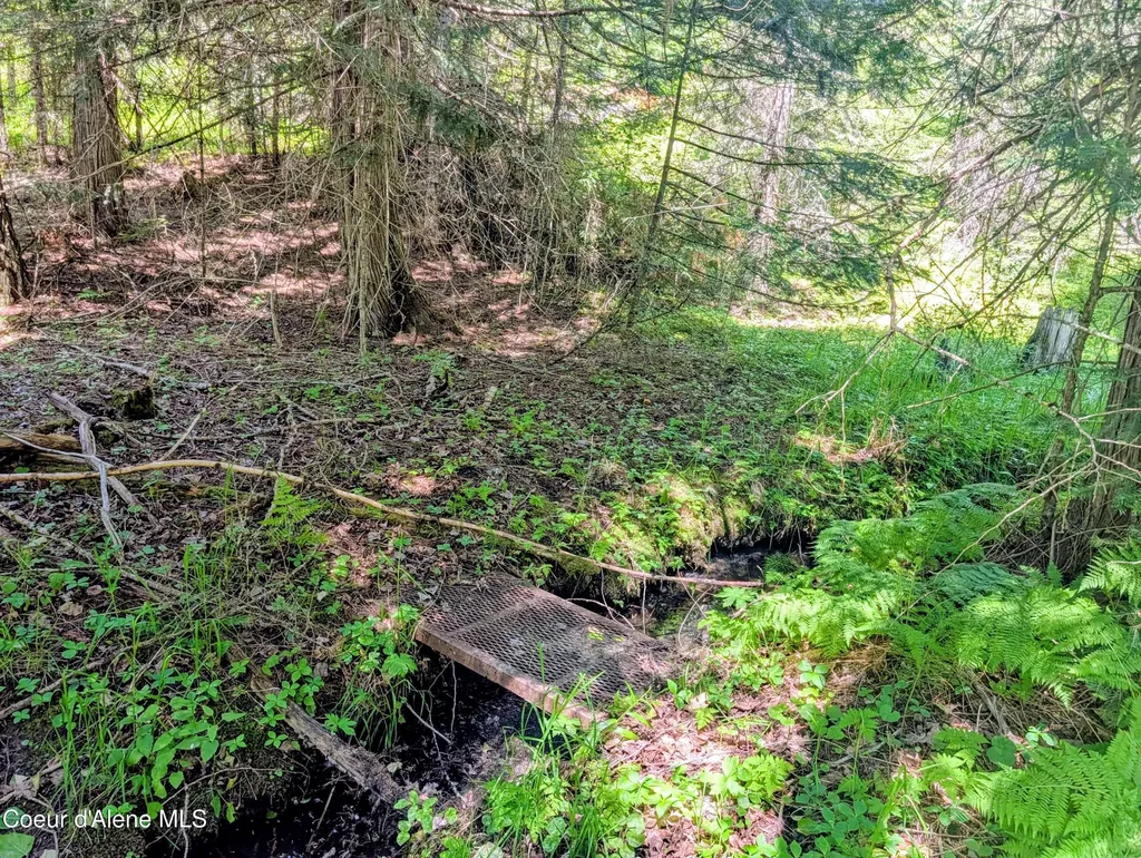 1314 Finn Creek Road Fernwood ID 83830