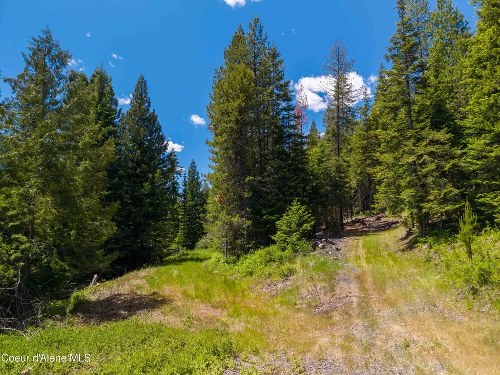 1314 Finn Creek Road Fernwood ID 83830