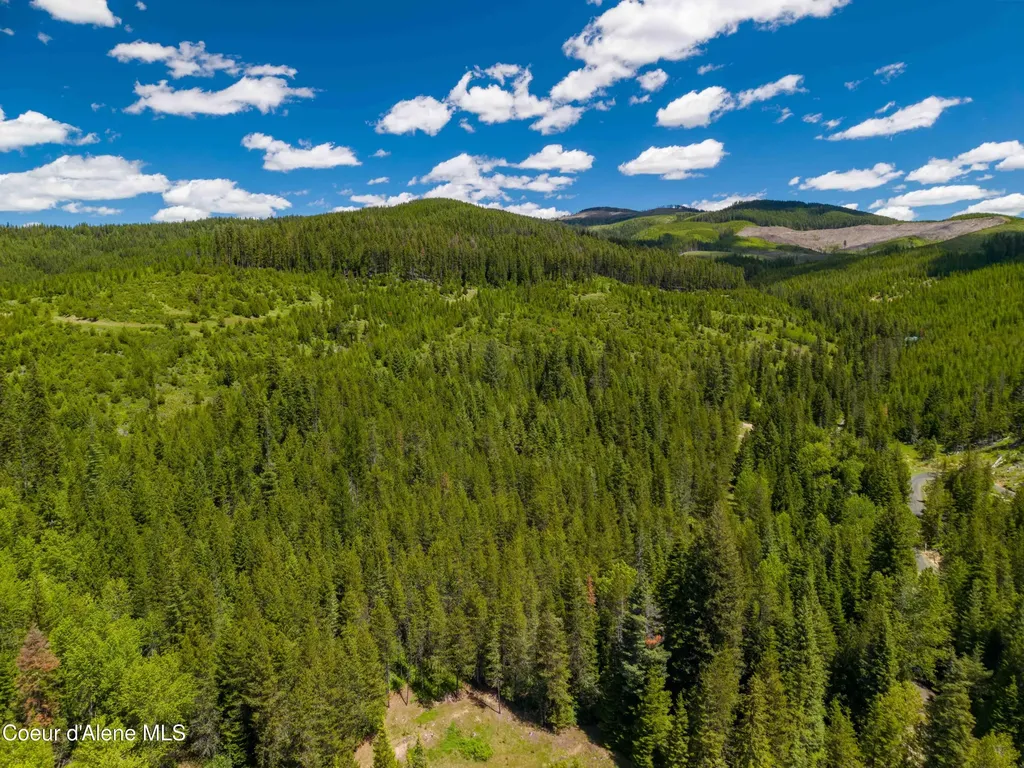 1314 Finn Creek Road Fernwood ID 83830