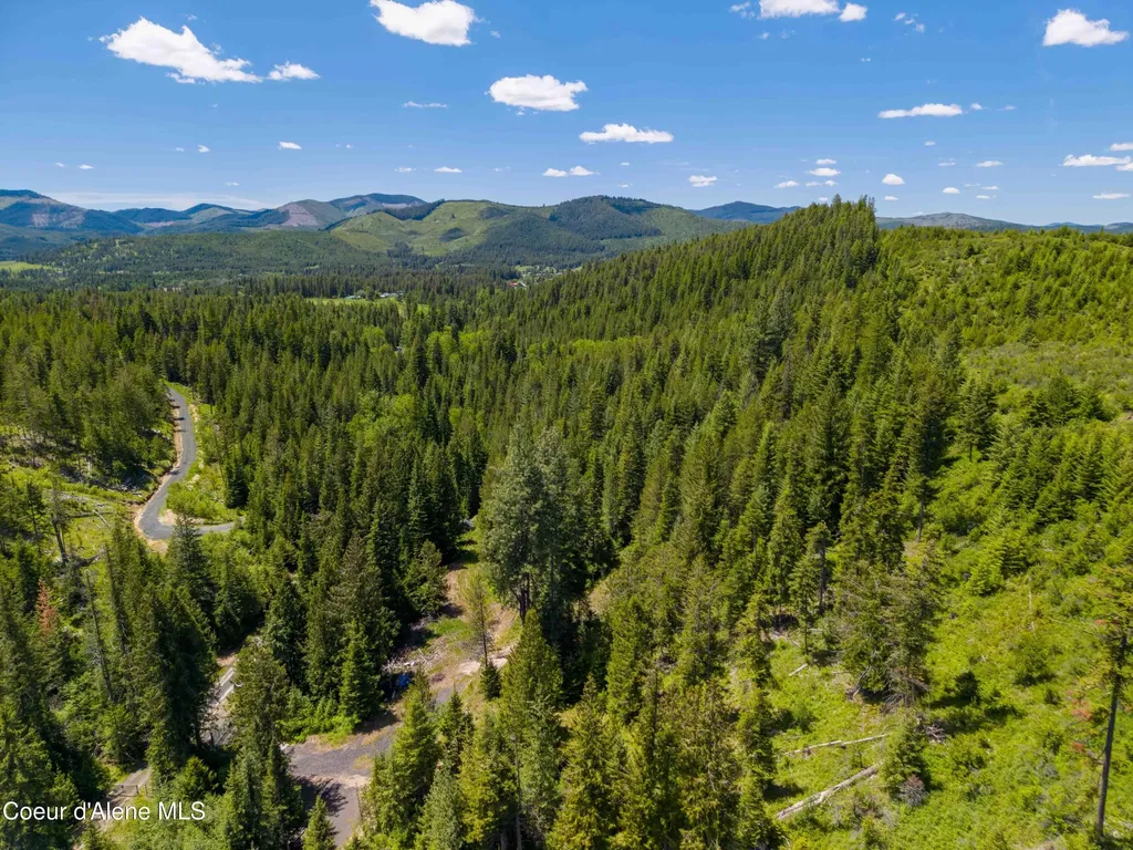 1314 Finn Creek Road Fernwood ID 83830