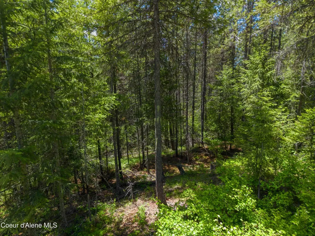 1314 Finn Creek Road Fernwood ID 83830