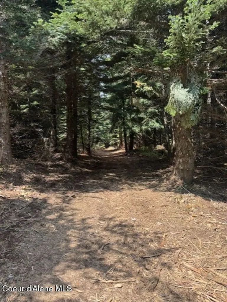 160ACS Jeru Creek Road 293 Sandpoint ID 83864