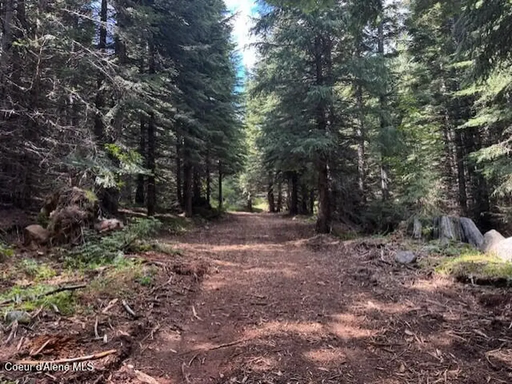 160ACS Jeru Creek Road 293 Sandpoint ID 83864