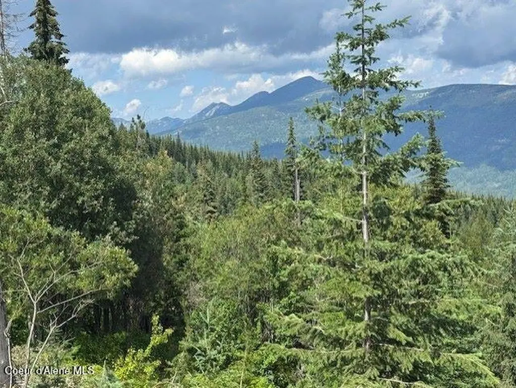 160ACS Jeru Creek Road 293 Sandpoint ID 83864