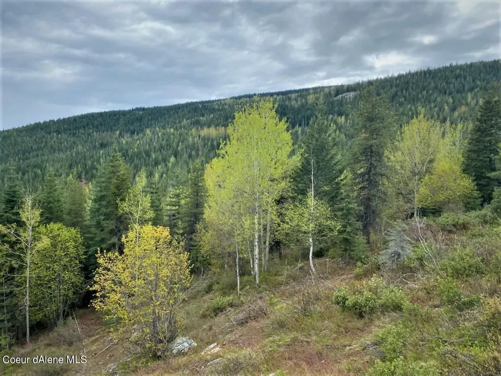 160ACS Jeru Creek Road 293 Sandpoint ID 83864