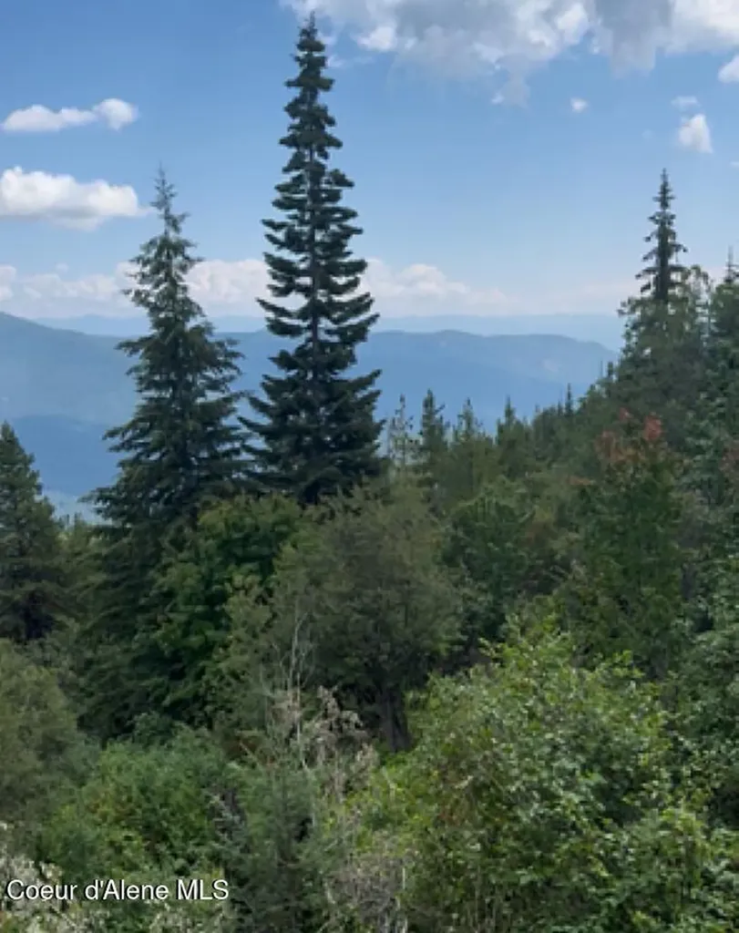 160ACS Jeru Creek Road 293 Sandpoint ID 83864