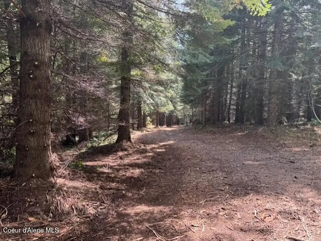 160ACS Jeru Creek Road 293 Sandpoint ID 83864