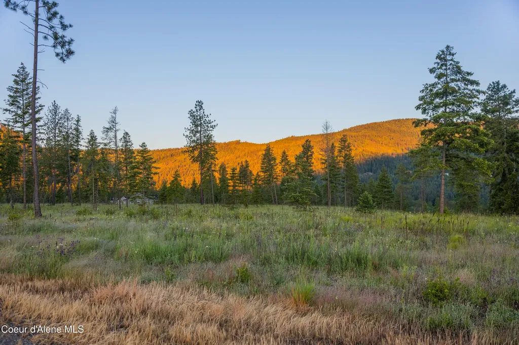 Nna Woodchuck Dr, Lot 15 Priest River ID 83856