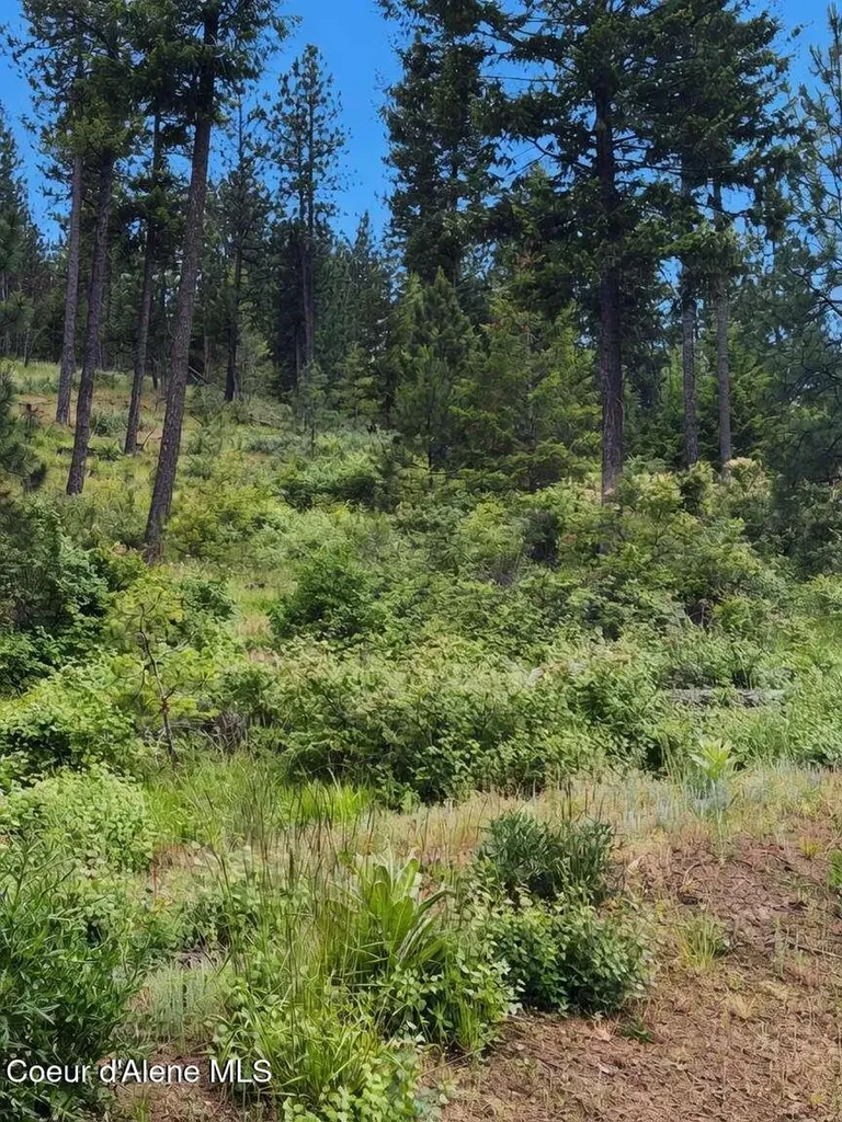 18XXX W Granite Springs Drive Post Falls ID 83854