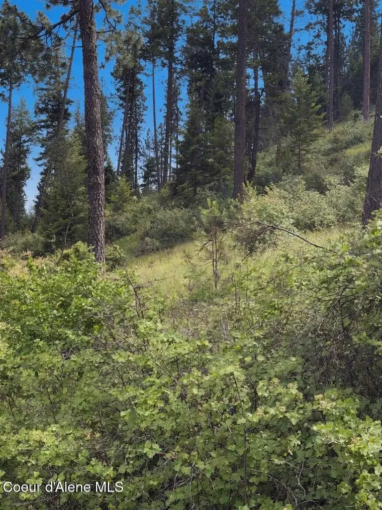 18XXX W Granite Springs Drive Post Falls ID 83854