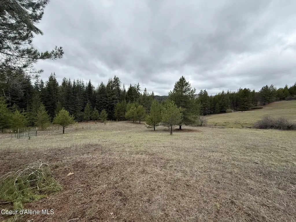 Nka Owl Creek Lane St. Maries ID 83861
