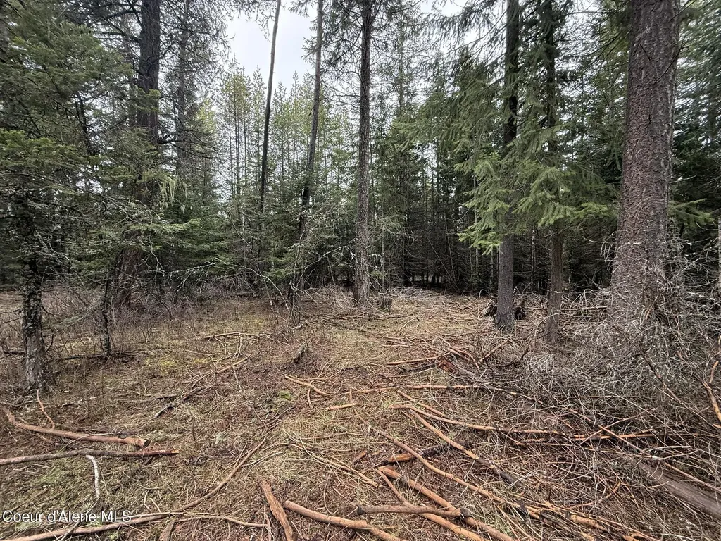 Nka Owl Creek Lane St. Maries ID 83861