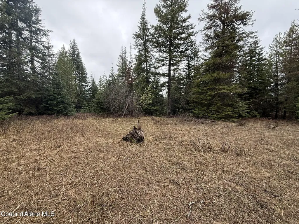 Nka Owl Creek Lane St. Maries ID 83861