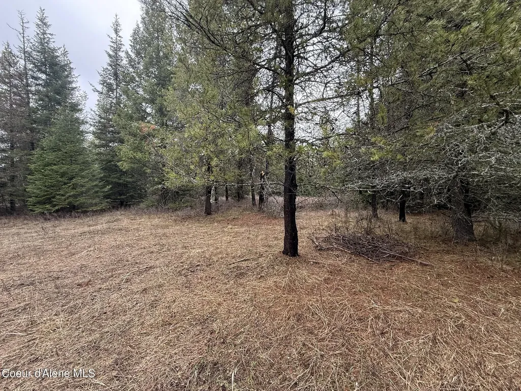 Nka Owl Creek Lane St. Maries ID 83861