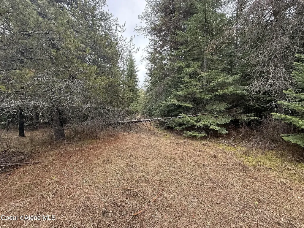 Nka Owl Creek Lane St. Maries ID 83861