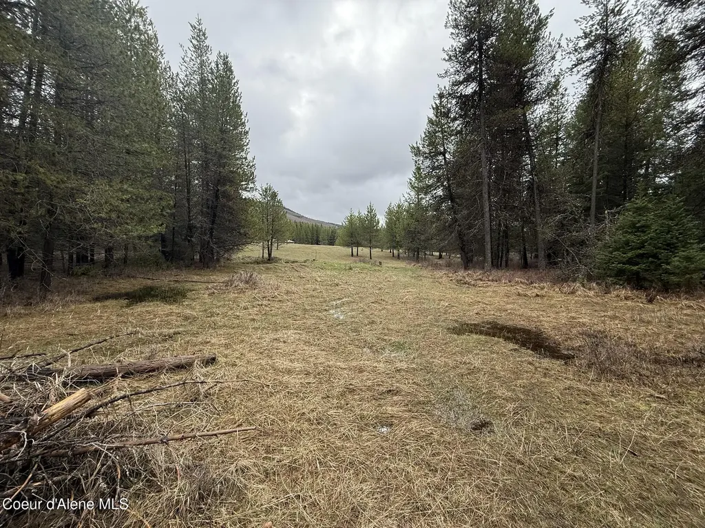 Nka Owl Creek Lane St. Maries ID 83861