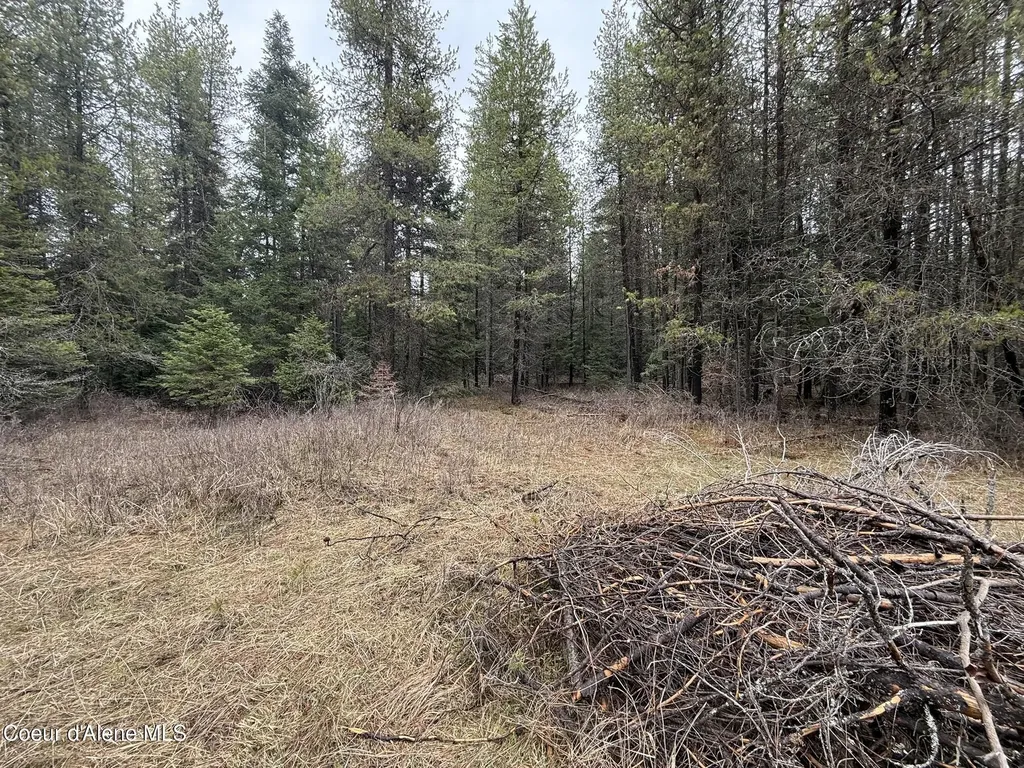 Nka Owl Creek Lane St. Maries ID 83861