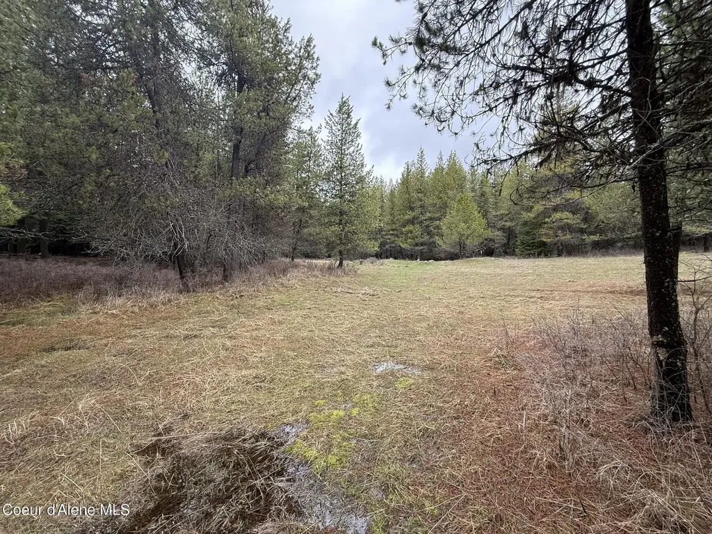 Nka Owl Creek Lane St. Maries ID 83861