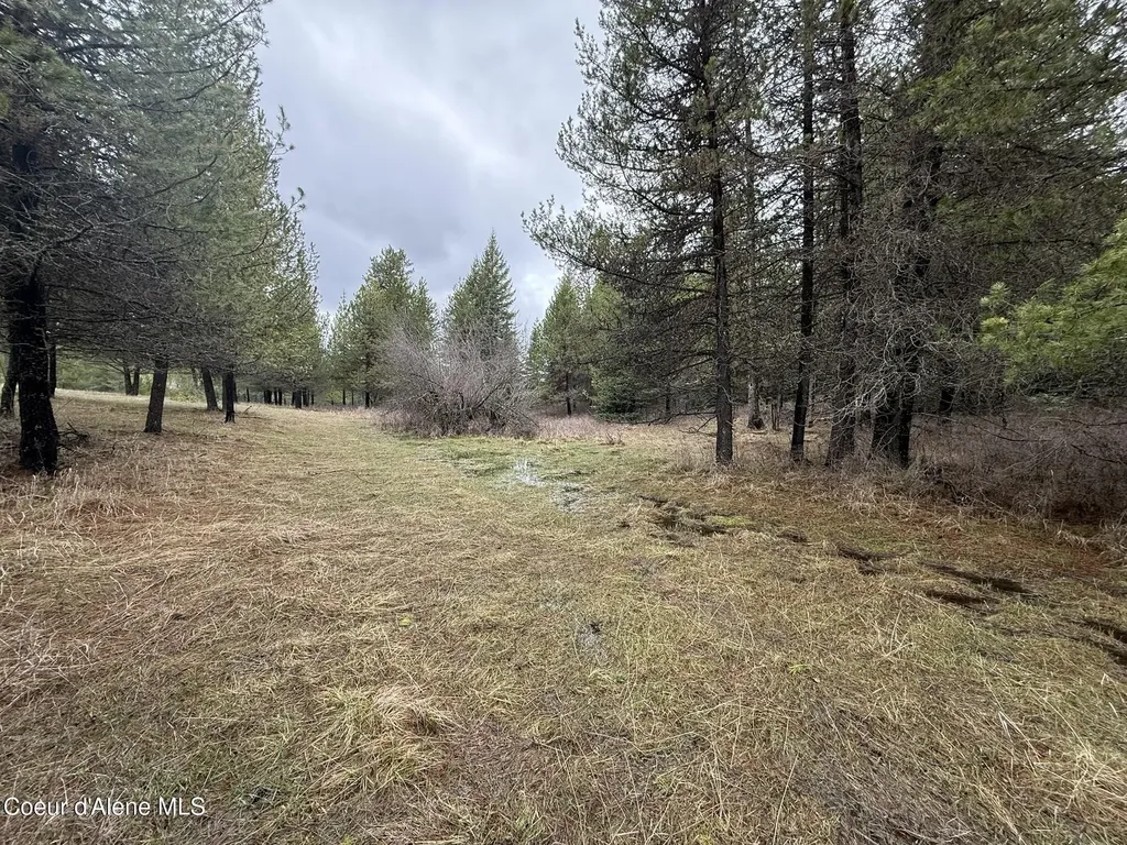Nka Owl Creek Lane St. Maries ID 83861