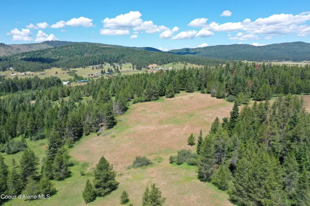 Parcel 200 Owl Creek Road Lane St. Maries ID 83861