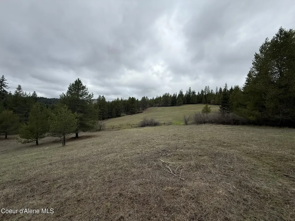 Nka Owl Creek Lane St. Maries ID 83861
