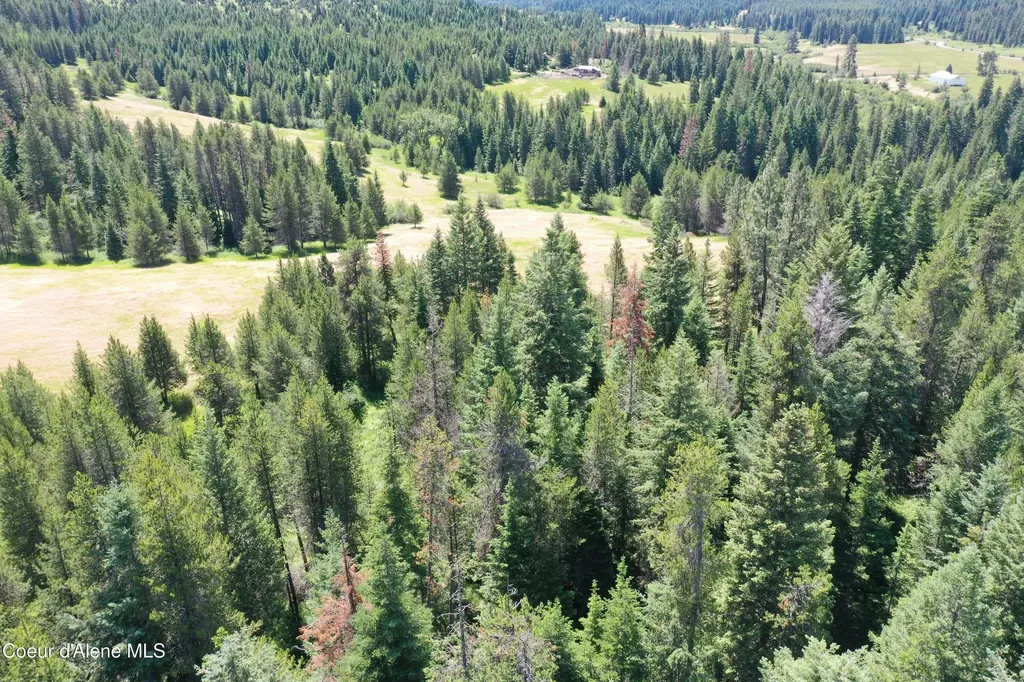 Parcel 200 Owl Creek Road Lane St. Maries ID 83861