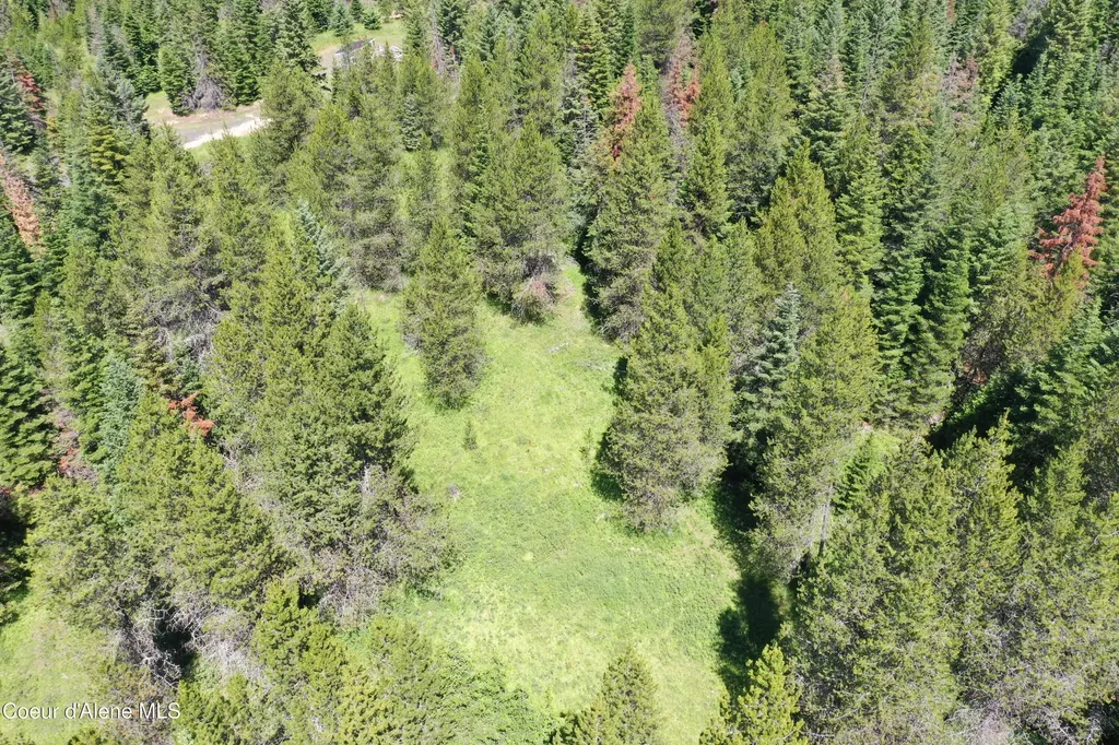 Parcel 200 Owl Creek Road Lane St. Maries ID 83861