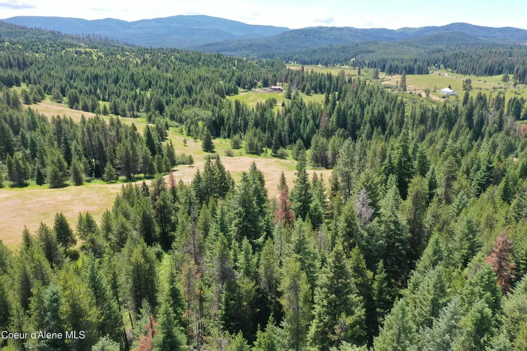 Parcel 200 Owl Creek Road Lane St. Maries ID 83861