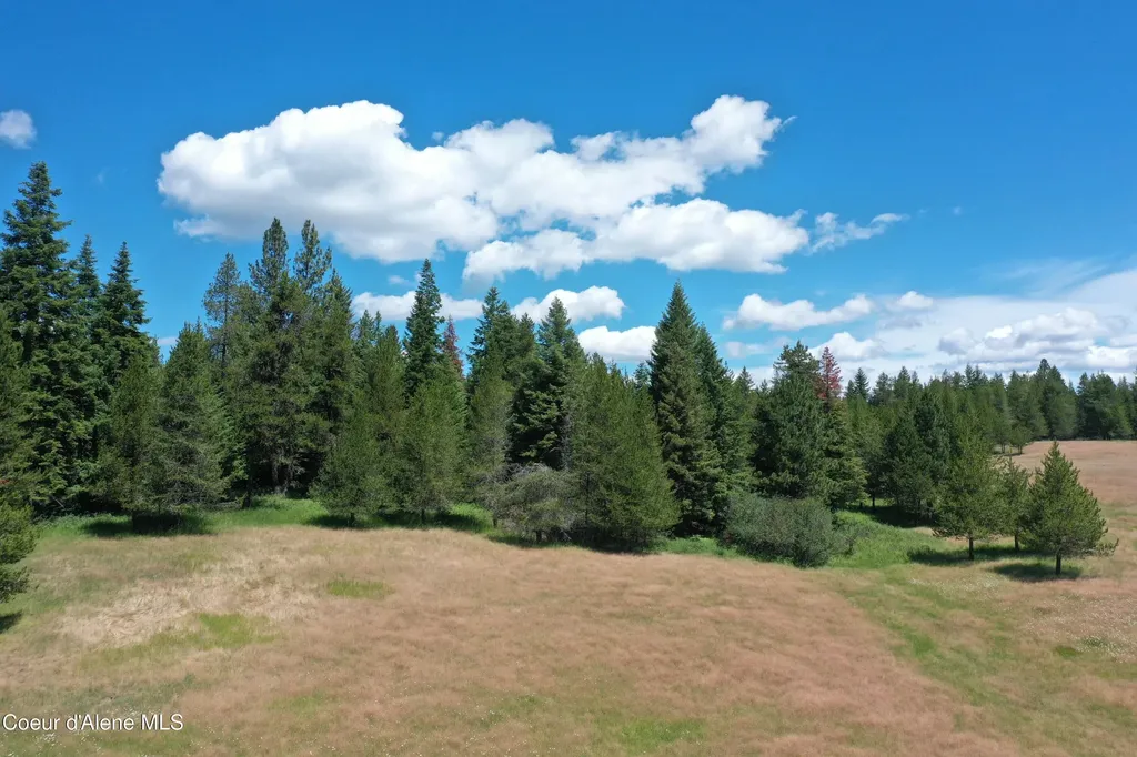 Parcel 200 Owl Creek Road Lane St. Maries ID 83861